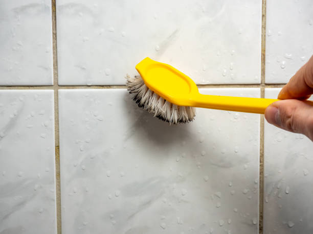 Best Toxic Mold Removal  in Oill, NE