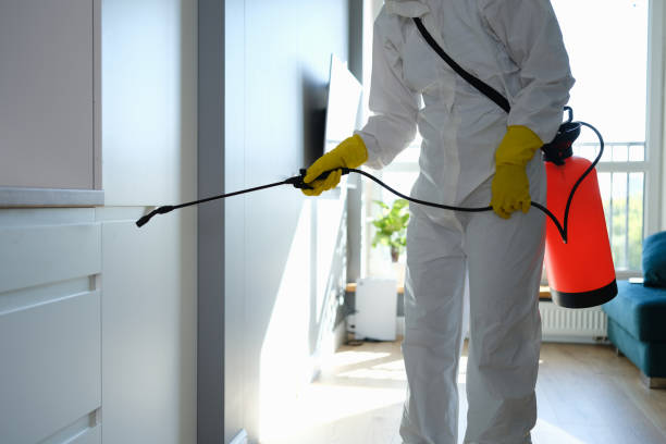 Best Professional Mold Removal  in Oill, NE
