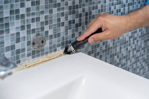 Best Office Mold Removal Services  in Oill, NE